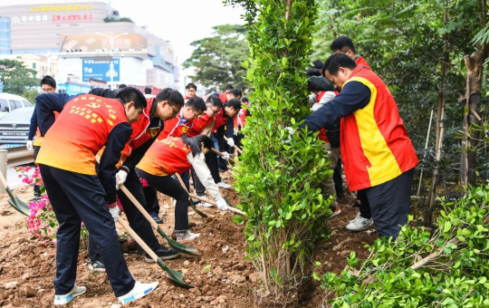 绿美答卷②23372万株！广东超额完成2024年县镇村绿化任务目标(图3)