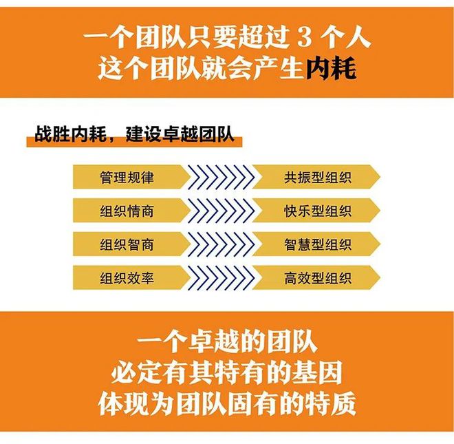 构建和谐共鸣：以《内耗：卓越高效团队建设的极大障碍》为镜打造共振型组织(图1)